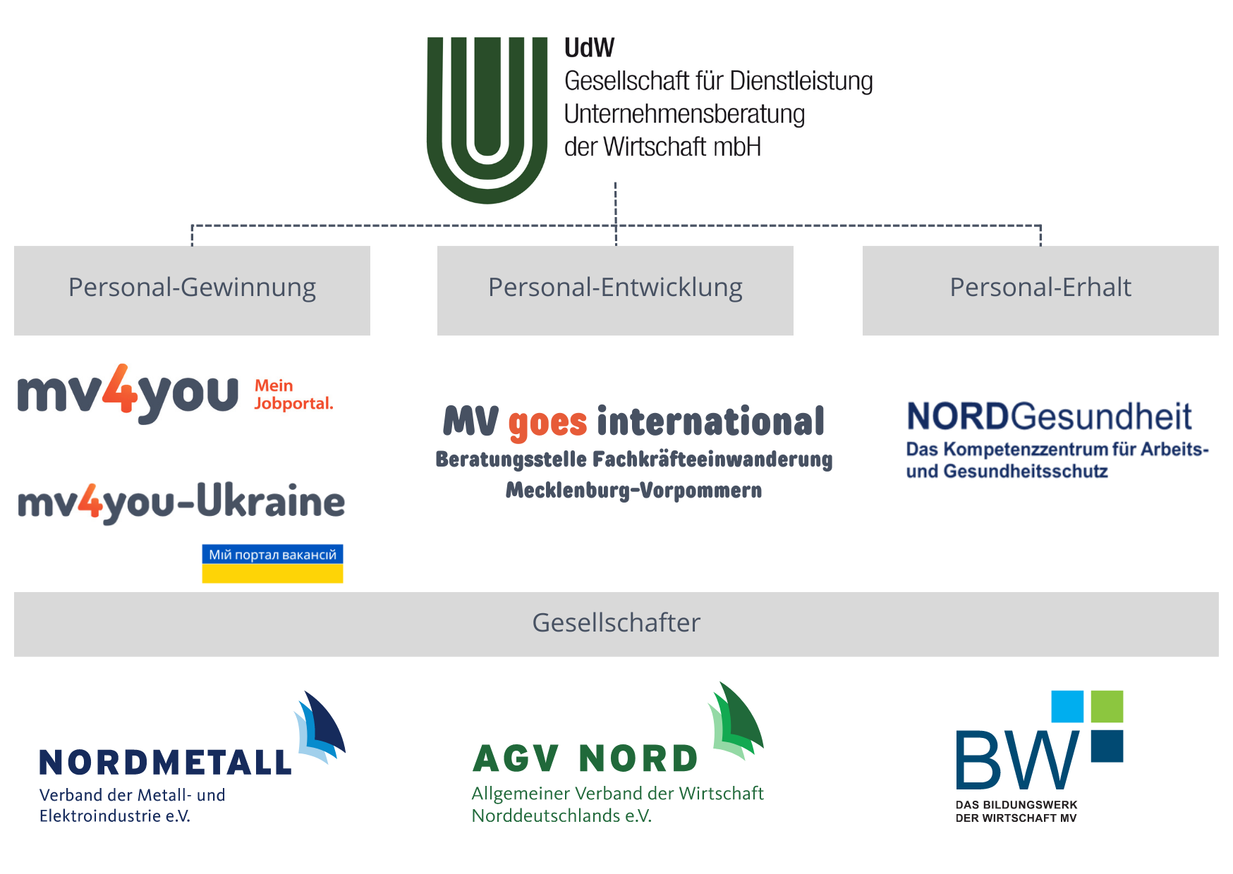 Organigramm der UdW GmbH